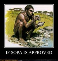 Protect IP Act / Stop Online Piracy Act