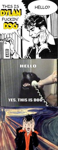 Yes, This is Dog