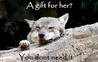 Ignorant to Adversity wolf