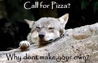 Ignorant to Adversity wolf