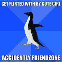 Socially Awkward Penguin