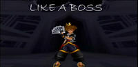 Like A Boss