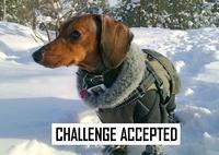 Challenge Accepted