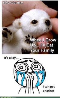 Cuteness Overload