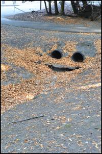 Things With Faces