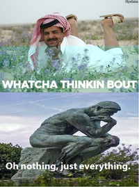 Whatcha Thinkin Bout?