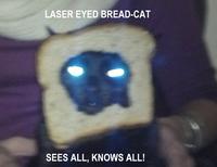 Cat Breading
