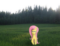 My Little Pony: Friendship is Magic