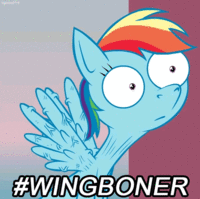 Pony Reactions