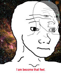 I Know That Feel Bro