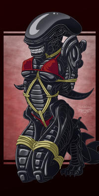 RULE 34