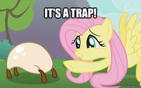 It's A Trap!