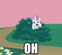 Pony Reactions