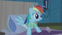 Pony Reactions