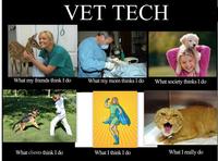 What People Think I Do / What I Really Do