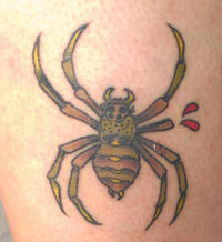 Paying Bills with Spider Drawings (Seven-Legged Spider)