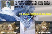 Xzibit Yo Dawg