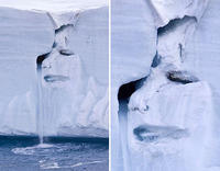 Things With Faces