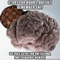 Scumbag Brain