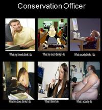 What People Think I Do / What I Really Do