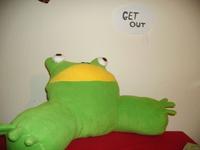 Get Out Frog / Frogout / Me Obrigue