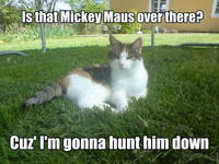 LOLcats