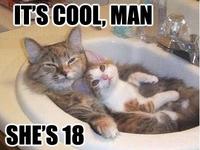 LOLcats