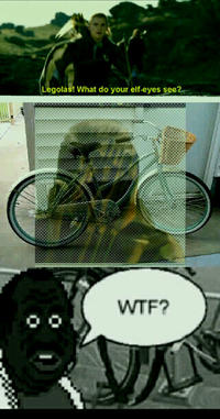 YTMND