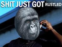 That Really Rustled My Jimmies