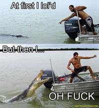 At First I Was Like...