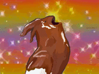 Chocolate Bird