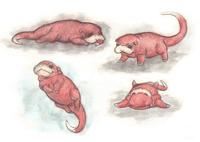 Slowpoke