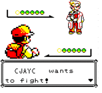 Fake Pokémon Battles