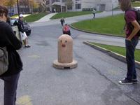 Diglett Underground
