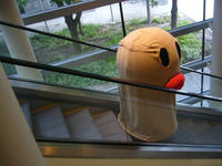 Diglett Underground