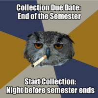 Art Student Owl