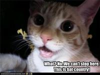 We Can't Stop Here, This is Bat Country