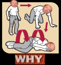 Tony Kornheiser's "Why"