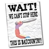 We Can't Stop Here, This is Bat Country