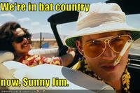 We Can't Stop Here, This is Bat Country