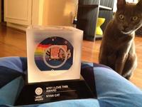 Nyan Cat / Pop Tart Cat
