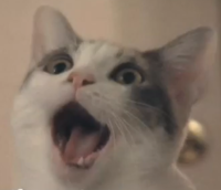 Reaction Faces