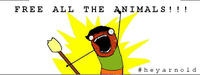 X all the Y