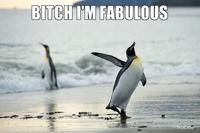 Bitch I'm Fabulous