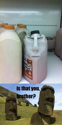 Things With Faces