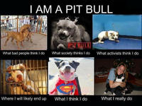 What People Think I Do / What I Really Do