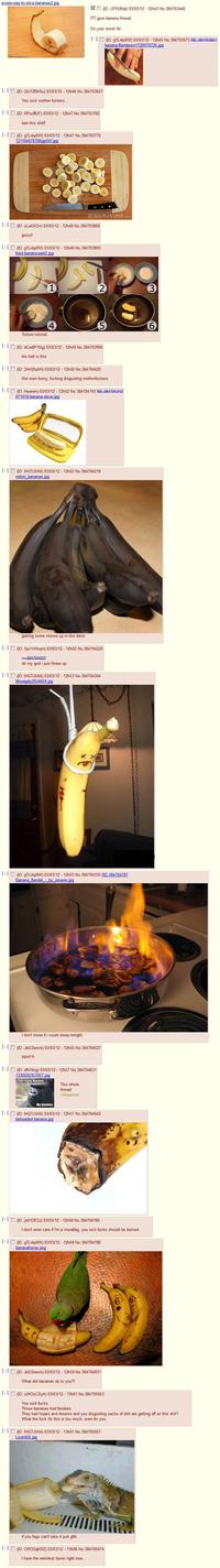 4chan