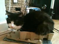 If It Fits I Sits