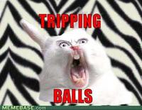 Tripping Balls
