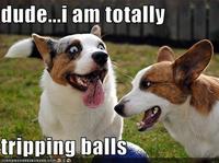 Tripping Balls